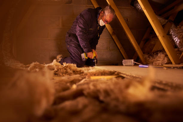 Best Specialized Insulation Services in Murraysville, NC