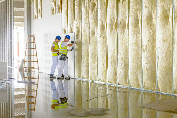 Best Residential Insulation in Murraysville, NC